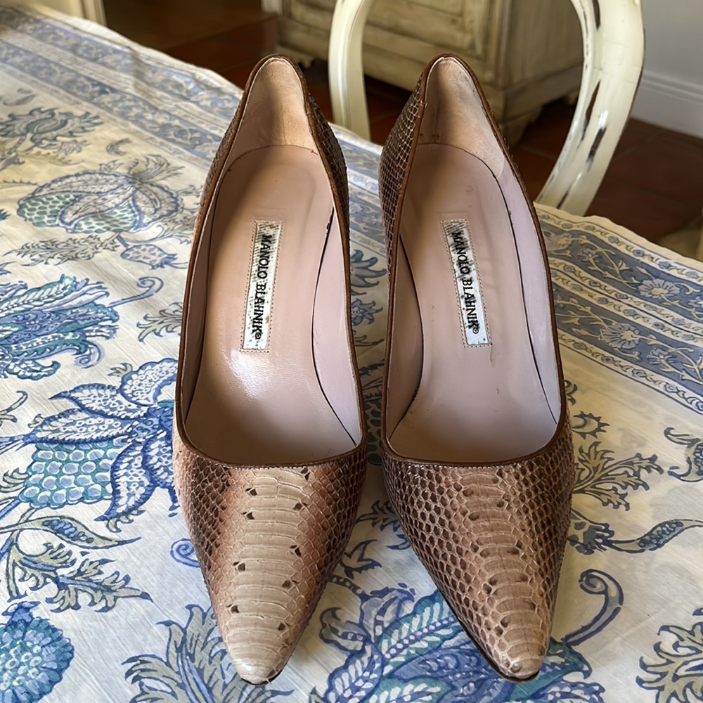 Python Manolos - image 3